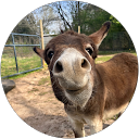 Sean Templeton profile picture